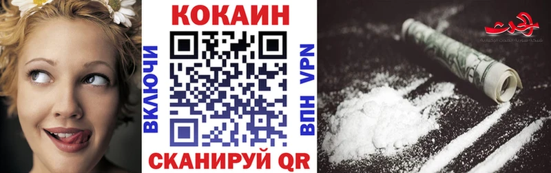 Купить закладки  Киржач  COCAIN Fish Scale 
