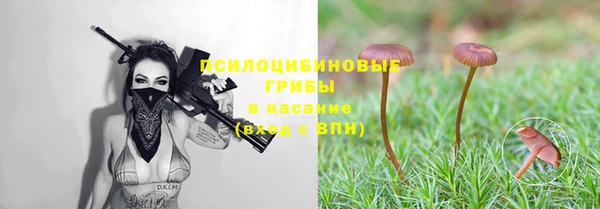 круглые Бородино