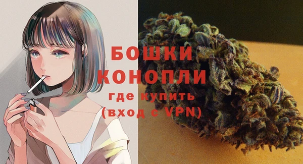 мдпв Богородск