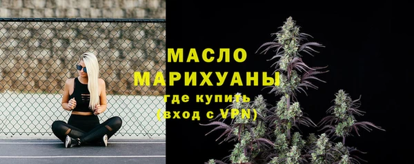 мдпв Богородск
