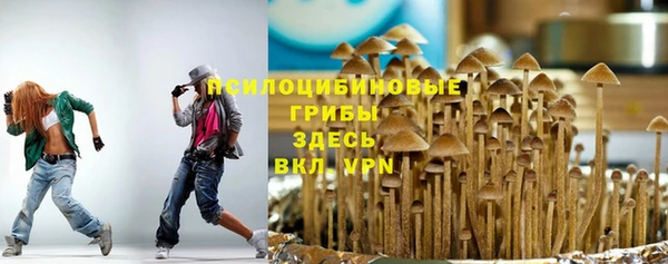синтетический гашиш Богданович