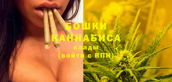 мдпв Богородск