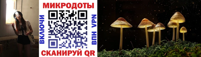 Купить Киржач Псилоцибиновые грибы Magic Shrooms
